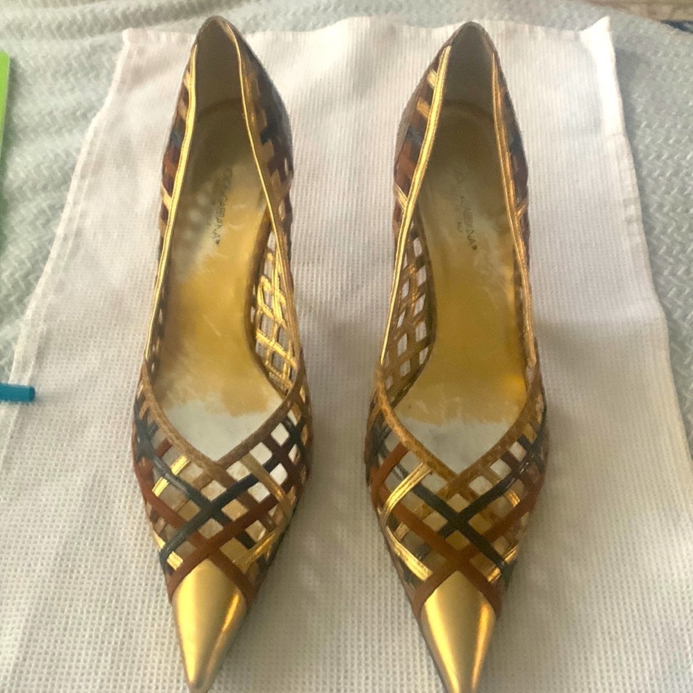 Dolce & Gabbana brown snakeskin and gold trim leather pumps